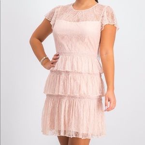 Adrianna Papell Blush Pink Lace Mini Dress